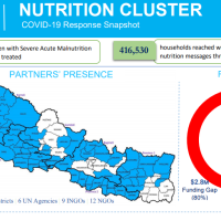 This image has Nutrition cluster partners presence map and funding requirement